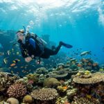 Diving